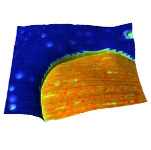 3D overlay of log(stiffness) over topography