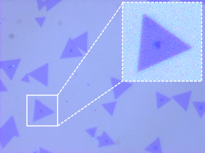 MoS2 optical micrograph