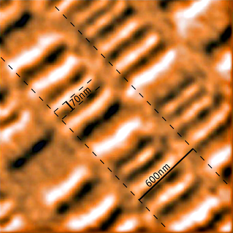 Magnetic force microscopy (MFM) image of a harddisk platter