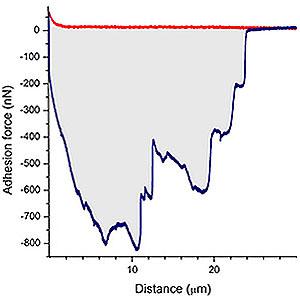 Representative example of the force-distance (F-D) curves that were obtained with a HeLa cell on fibronectin.