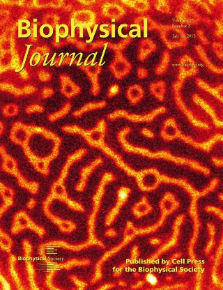 biophysical journal