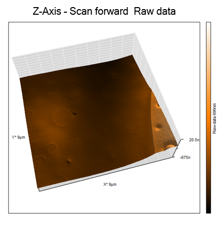 AFM topography forward scan, lateral force z-axis