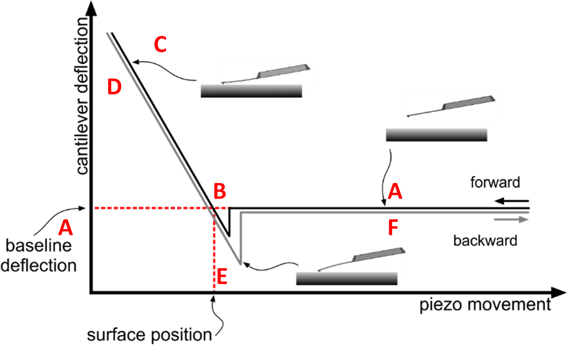 Force spectroscopy AFM schematic
