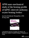 AFM nano‐mechanical study of the beating profile of hiPSC‐derived cardiomyocytes beating bodies WT and DM1