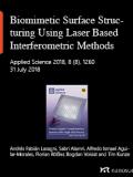 Biomimetic Surface Structuring Using Laser Based Interferometric Methods