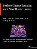 Surface Charge Imaging with Nanofluidic Probes