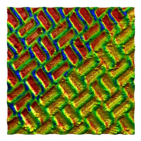 MFM images of a Shakti lattice 