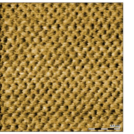 Atomic grid on mica measured with lateral force microscopy