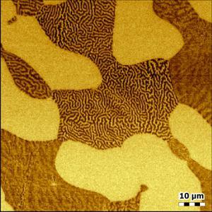Magnetic force microscopy on polished stainless steel