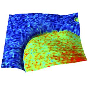 3D overlay of adhesion over topography