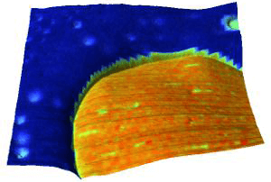 3D AFM topography log