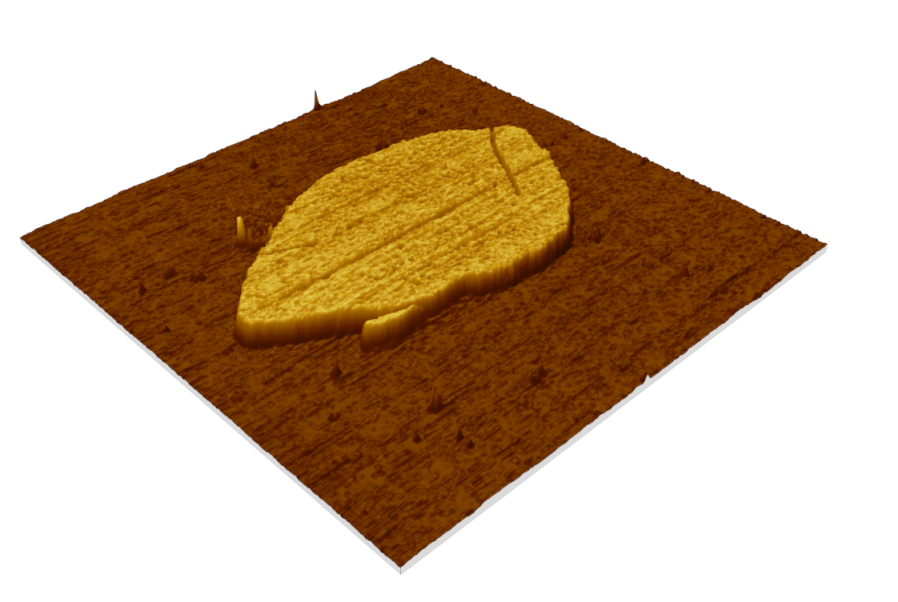 3D topography of single pyrene nanosheet