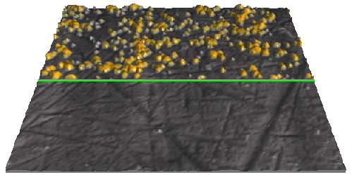 Electrochemical AFM on copperclusters deposited on platinum