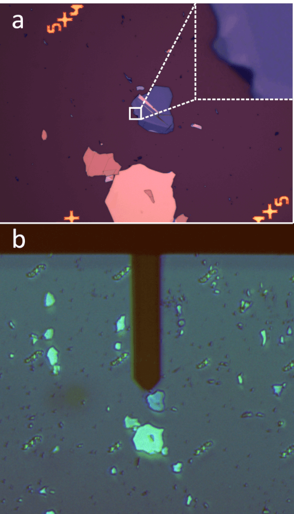 Optical images of graphene flakes