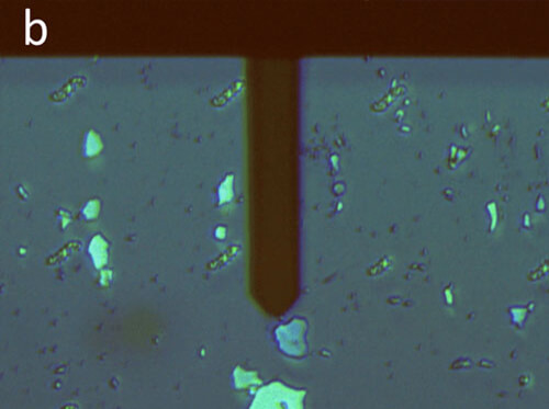 AFM images of graphene