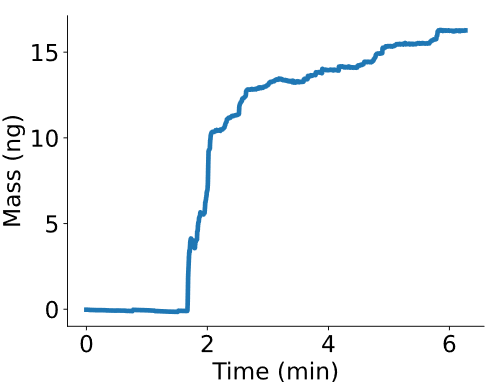 Mass increase of paraffin bubble oer time