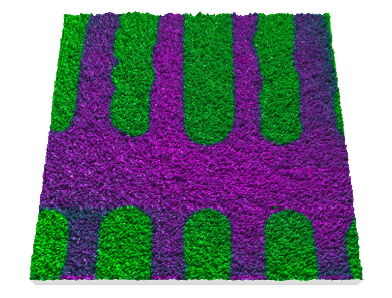 PFM on Lithium Niobate