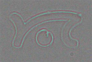 Nanosurf logo spotting