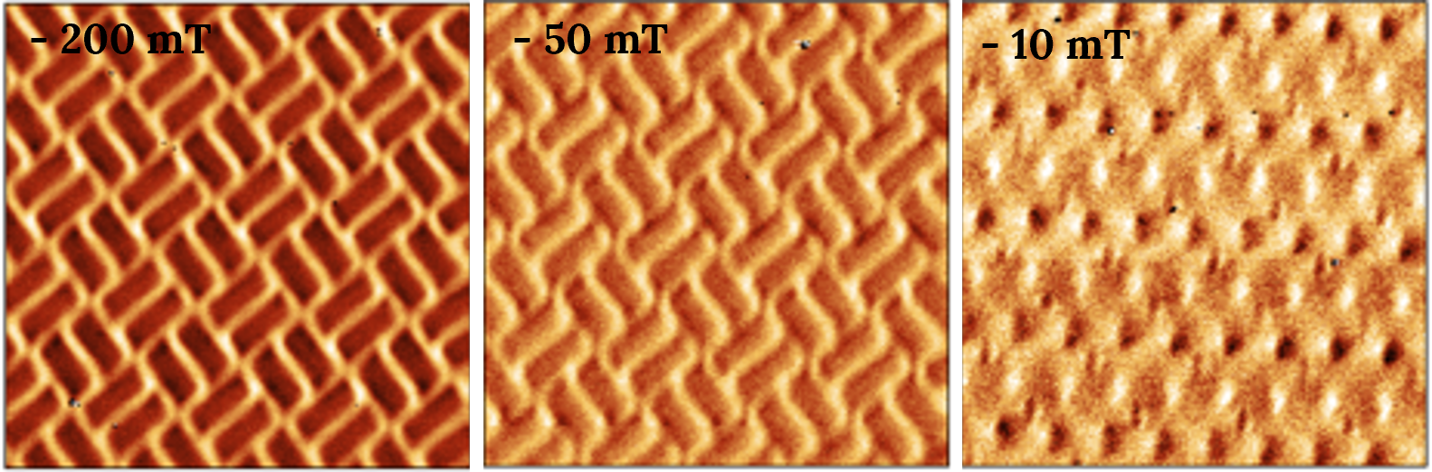 Figure 4. MFM images of Shakti spin ice structure made at different magnetic fields imaged using the variable magnetic field sample holder using the CoreAFM.