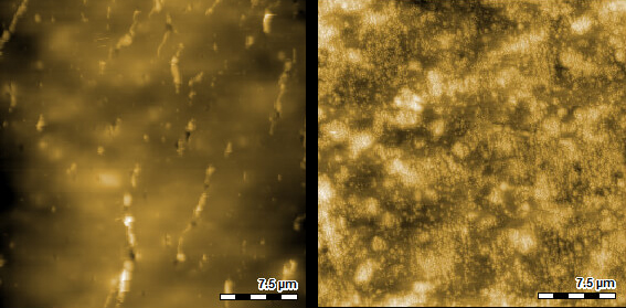 Unperturbed cell topography