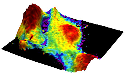 Elastic modulus mapped to the 3D topography