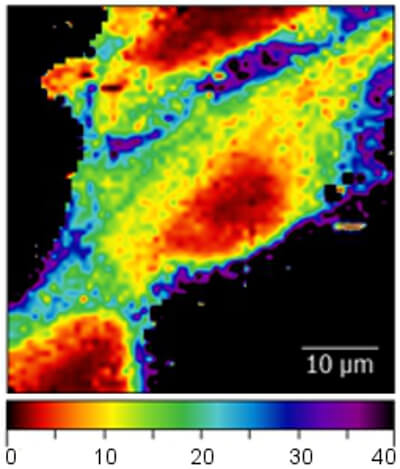 Elastic modulus map