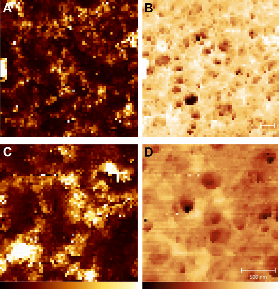 Elastic modulus and height maps of two differently sized areas