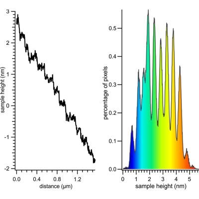 Section profile and height distribution Section profile and height distribution