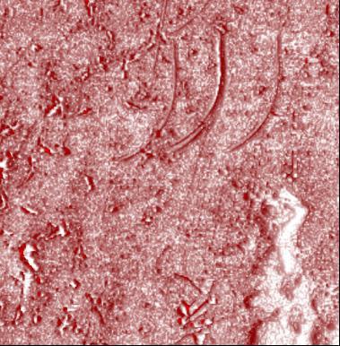 Dynamic force AFM image of cellophane foil