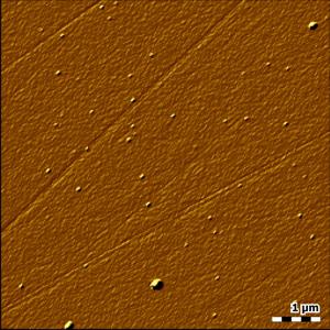 Surface roughness image of polished sapphire