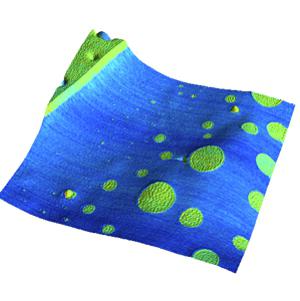 Overlay of friction on topograph