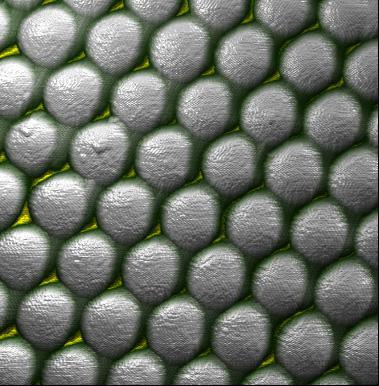 Spheres on surface
5x5µm image, z-range: 200nm