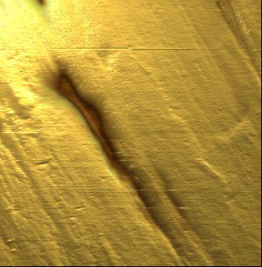 20x20µm image, z-range: 200nm 20x20µm image, z-range: 200nm