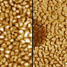 左: 形貌 (扫描范围 1 µm x 1 µm; Z 范围 0.4 nm)
			右: 横向力 (扫描范围 1 µm x 1 µm; Z 范围 1.1 V)
