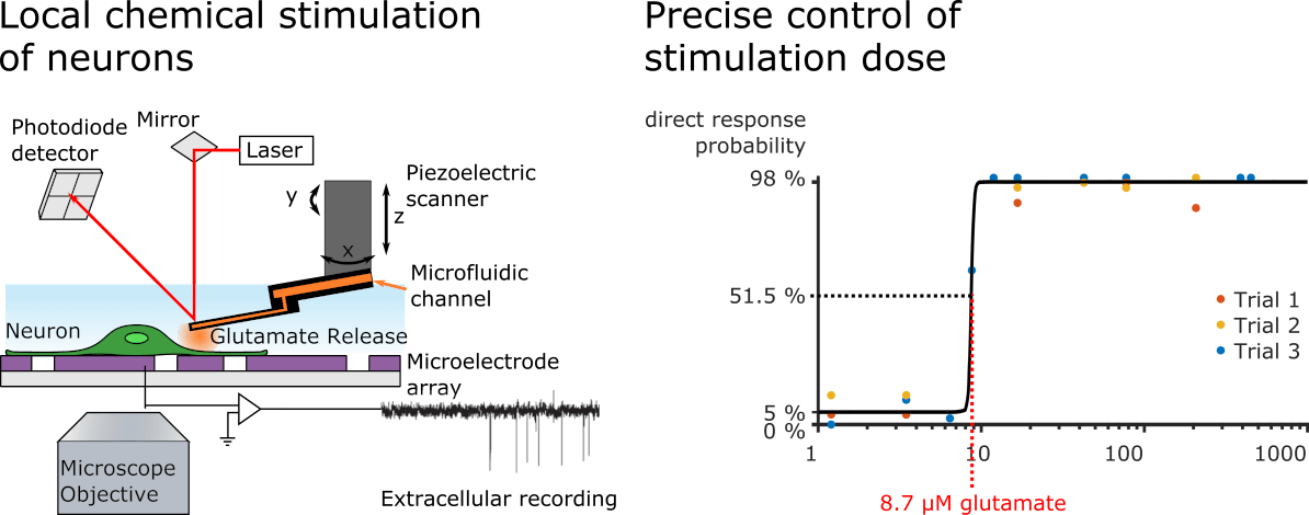 Local chemical stimulation of neurons and precise control of stimulation dose