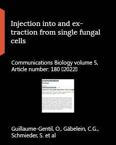 Injection into and extraction from single fungal cells