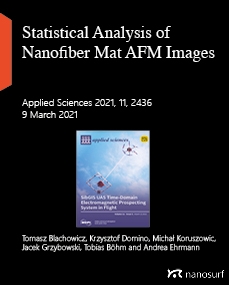 Statistical analysis of periodic fibrous structures by AFM