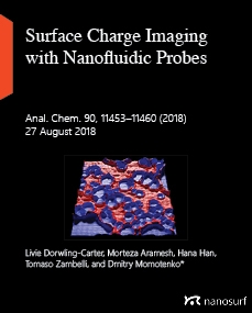 Surface Charge Imaging with Nanofluidic Probes