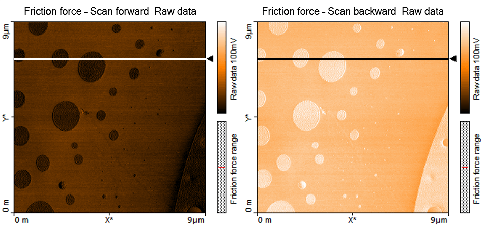 lateral force AFM