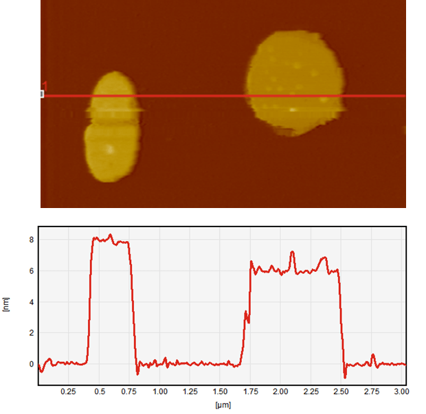 AFM topography of bacteriorhodopsin in contact mode