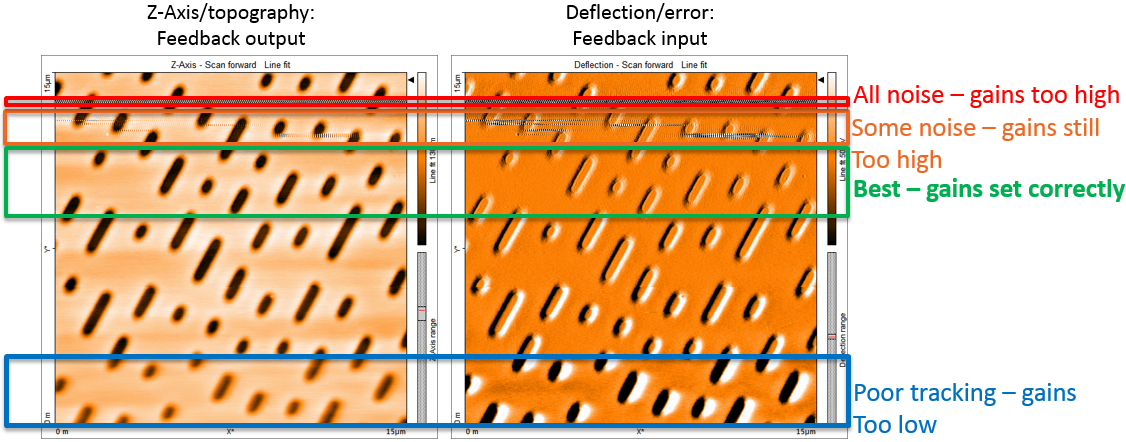Different gain settings affect the feedback and AFM image
