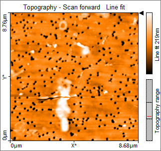 AFM image of bacterium after surgery bacterium after surgery AFM image