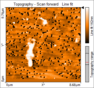 AFM image of bacterium before surgery bacterium before surgery AFM image