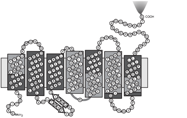 BR structure and unfolding