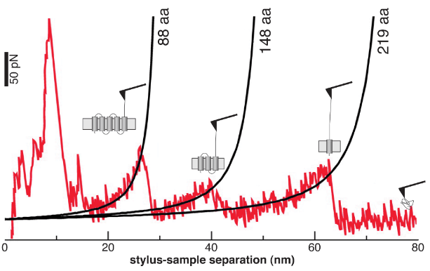 BR unfolding graph and fitting