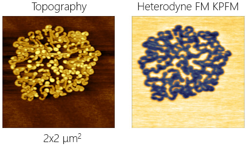 f14h20 topography and heterodyne fm kpfm