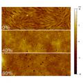 Morphological characterization of various PDINO, TiOx, and PDINO:TiOx blend films