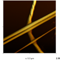 WaveMode image of mouse tail collagen