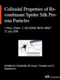 Colloidal Properties of Recombinant Spider Silk Protein Particles