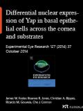 Differential nuclear expression of Yap in basal epithelial cells across the cornea and substrates of differing stiffness